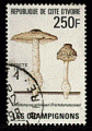 Cte Ivoire 1995 - Y&T 953 - oblitr - champignon