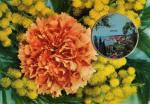 MENTON (06) - Vue de Garavan (en mdaillon) sur fond de fleur (mimosa & oeillet)