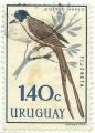 Uruguay 1962-63.- Pjaros. Y&T PA238. Scott C251. Michel 947.