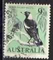 Australie 1963; Y&T n 292; 9p, oiseau, Cassican flteur