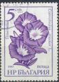 Bulgarie 1985 - Fleur : belle-de-jour, 5 cm - YT 2955 