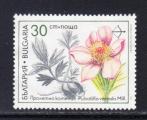 BULGARIE  -  1991 - YT. 3418  o -  Flore