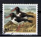 Islande / 1987 / Oiseaux de mer / YT n 623, oblitr