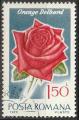 Timbre oblitr n 2557(Yvert) Roumanie 1970 - Fleur, rose orange Delbard