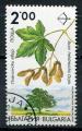 Timbre de BULGARIE 1992  Obl  N 3469  Y&T  Arbres Fruits