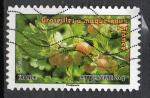 France Oblitr Adhsif Yvert N691 Fruits 2012 Groseilles maquereaux France 