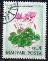 HONGRIE N 2323 o Y&T 1973 Fleurs (Cyclamen)