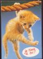 Cartes Postales  Animaux Chats