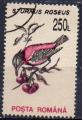 ROUMANIE N 4074 o Y&T 1993 Oiseaux (Sturnus roseus)