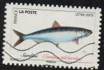 1692 - Srie "poissons" : Sardine - oblitr - anne 2019