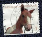 Belgique 2010 Oblitr rond Used Animaux Horse Foal Poulain Cheval