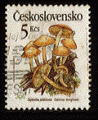 Tchcoslovaquie 1989 - Y&T 2822 - oblitr - champignon Galerina marginata