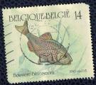 Belgique 1990 Oblitr Used Fish Poisson Bouvire