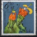 POLOGNE N 2604 o Y&T 1981 Fleurs (Napales cochnillifera)