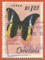 Venezuela 1966.- Mariposas. Y&T 875. Scott C917. Michel 1644.