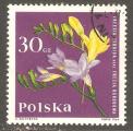 Poland - Scott 1280  flower / fleur