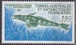 TAAF N 161 de 1991 neuf de fraicheur postale le poisson des glaces  la faciale