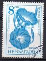 BULGARIE N 3024 o Y&T 1986 Fleurs (Ipomoea tricolor)