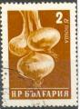 Bulgarie 1958 - Lgume : oignons, 2 cm - YT 937 