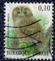 Belgique 2009 Oblitr Used Oiseau Strix Aluco Chouette hulotte