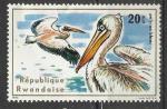 Rwanda 1975; Y&T n 635 **; 20c, oiseau; Plican blanc