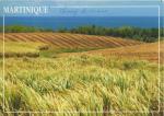 MARTINIQUE (972) - La cte Nord Atlantique, champs de canne  sucre