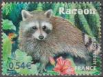 2007 4034 oblitr ROND Nature Le Racoon