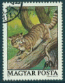 Hongrie 1979 - Y&T 2691 - oblitr - Chat sauvage (Felis silvestris)