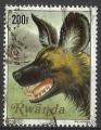 Rwanda 1981; Y&T n 1007; 200F,  faune, lycaon, chien sauvage d'Afrique