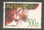 Suriname - Scott 941