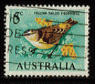 Australie - oblitr - oiseau (pine  queue jaune)