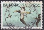 bahamas - n 482  obliter - 1981