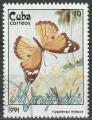 Timbre oblitr n 3096(Yvert) Cuba 1991 - Papillon
