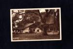 Carte postale CPA 40 Landes : vieilles maisons avec le poulailler rustique
