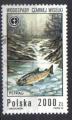 POLOGNE 1992 - YT 3180 - Truite de rivire (Salmo trutta fario), cascade 