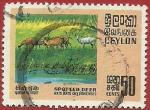 Sri Lanka 1970.- Fauna. Y&T 415. Scott 441. Michel 397.