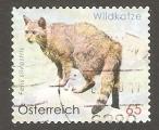 Austria - Michel 2849   cat / chat