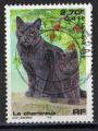 France 1999; Y&T n 3283; 2,70F (0,41), Chat, Chartreux