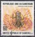 CAMEROUN N 622 de 1978 oblitr  