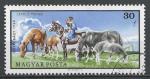 HONGRIE - 1968 - Yt n 1975 - Ob - Elevage chevaux ; Puszta ; pturage