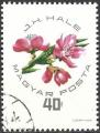 Hongrie 1964 - YT 1662 ( Fleurs de pcher ) Ob