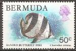  bermudes -- n 365  neuf** -- 1978