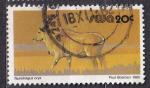 Sud Ouest Africain (SWA) - 1980 - Oryx  - Yvert 444 Oblitr