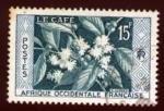 Timbre Colonies Franaises  AOF 1956  Obl   N 62   Y&T  CAFE fleur
