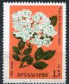 Timbre de BULGARIE 1981  Obl  N 2603   Y&T  Fleurs