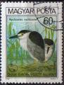 Hongrie 1980 - Protection oiseau : bihoreau gris, 60 f - YT 2737 