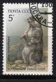 EUSU - Yvert n 5403 - 1987 - Marmotte de Menzbier (Marmota menzbieri)