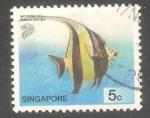Singapore - SG 1127   fish / poisson