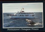 CPM neuve Etats-Unis Provincetown's Portuguese Princess
