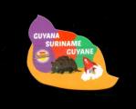 Magnet Savane Amerique du Sud Guyana Suriname Guyane